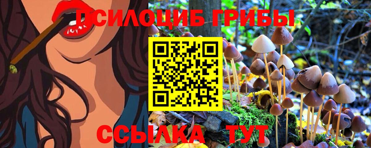 Псилоцибиновые грибы MAGIC MUSHROOMS  Галлюциногенные грибы Psilocybine cubensis  Дмитров  Вход с VPN 
